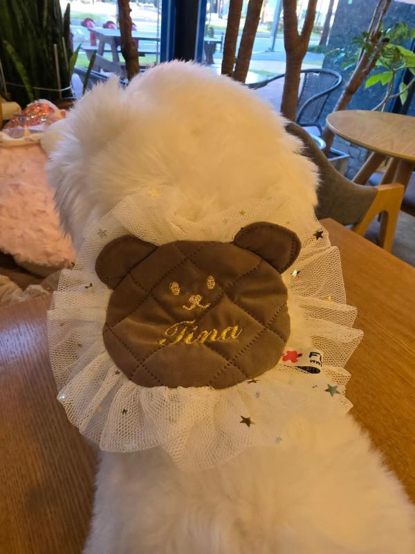 預購1123收單 | Fundle 熊熊臉蕾絲刺繡領巾 寵物服飾,寵物選品,韓國寵物服飾,狗衣服,貓衣服,韓國寵物品牌,寵物有機棉,韓國寵物選品,韓國寵物秋冬選品,狗四腳衣,寵物保暖,寵物保暖服飾,韓國寵物保暖服飾,寵物聖誕禮物