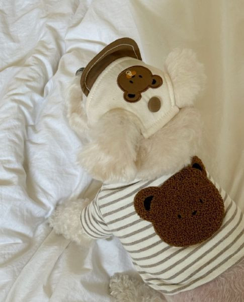 預購0115收單 | MLD 熊熊頭條紋短上衣(S-2XL) 寵物服飾,寵物選品,韓國寵物服飾,狗衣服,貓衣服,韓國寵物品牌,寵物有機棉,韓國寵物選品,韓國寵物秋冬選品,狗四腳衣,寵物保暖,寵物保暖服飾,韓國寵物保暖服飾