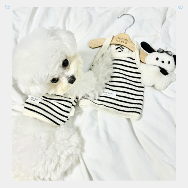 [JennyHarts] 條紋針織背心 寵物服飾,寵物選品,韓國寵物服飾,狗衣服,貓衣服,韓國寵物品牌