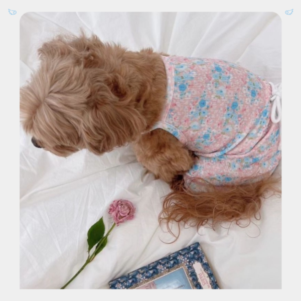 老奶奶滿版碎花連身褲 寵物服飾,寵物選品,韓國寵物服飾,狗衣服,貓衣服,韓國寵物品牌,寵物配件