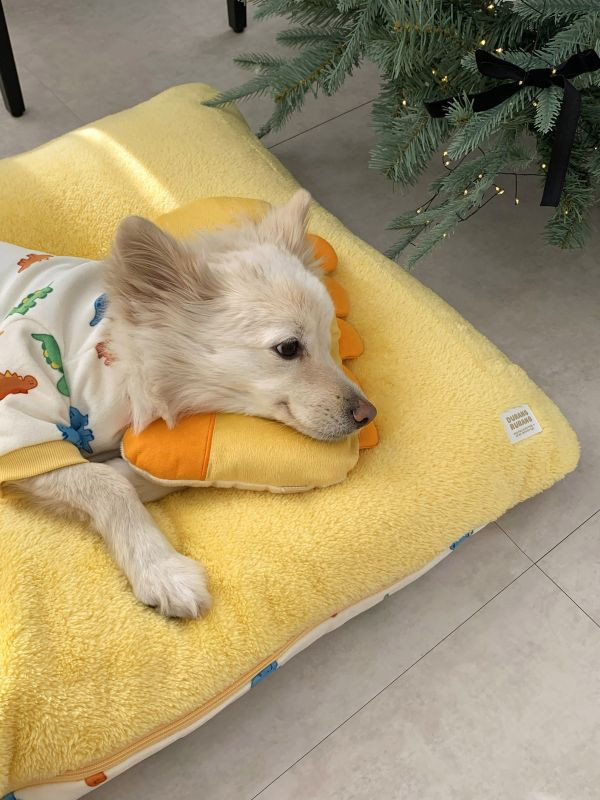 預購0112收單 | DRRR家恐龍系列之恐龍睡床(兩面可用) 寵物服飾,寵物選品,韓國寵物服飾,狗衣服,貓衣服,韓國寵物品牌,寵物有機棉,韓國寵物選品,韓國寵物秋冬選品,狗圍巾,寵物保暖,寵物保暖服飾,韓國寵物保暖服飾