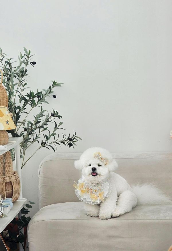 預購0305收單 | SOSO Delight 春季碎花刺繡手工領巾 寵物服飾,寵物選品,韓國寵物服飾,狗衣服,貓衣服,韓國寵物品牌