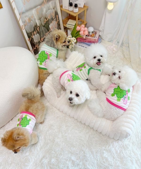 預購0419收單 | POMPOMPOM 幸運兔吊嘎(S-3XL) 寵物服飾,寵物選品,韓國寵物服飾,狗衣服,貓衣服,韓國寵物品牌,寵物有機棉,韓國寵物選品,韓國寵物春夏選品,寵物領巾