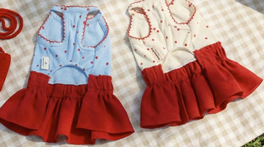 預購0410收單 | 背心小紅裙(二色 S-XL) 寵物服飾,寵物選品,韓國寵物服飾,狗衣服,貓衣服,韓國寵物品牌,寵物有機棉,韓國寵物選品,韓國寵物春夏選品,寵物風衣,寵物防水衣,DRRR,寵物針織背心