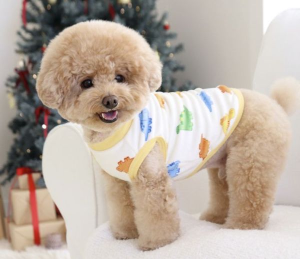 預購0112收單 | DRRR家恐龍內刷毛背心(S-2XL) 寵物服飾,寵物選品,韓國寵物服飾,狗衣服,貓衣服,韓國寵物品牌,寵物有機棉,韓國寵物選品,韓國寵物秋冬選品,狗圍巾,寵物保暖,寵物保暖服飾,韓國寵物保暖服飾