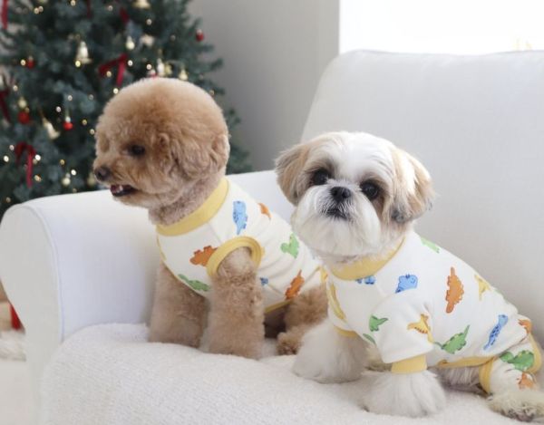 預購0112收單 | DRRR家恐龍內刷毛背心(S-2XL) 寵物服飾,寵物選品,韓國寵物服飾,狗衣服,貓衣服,韓國寵物品牌,寵物有機棉,韓國寵物選品,韓國寵物秋冬選品,狗圍巾,寵物保暖,寵物保暖服飾,韓國寵物保暖服飾