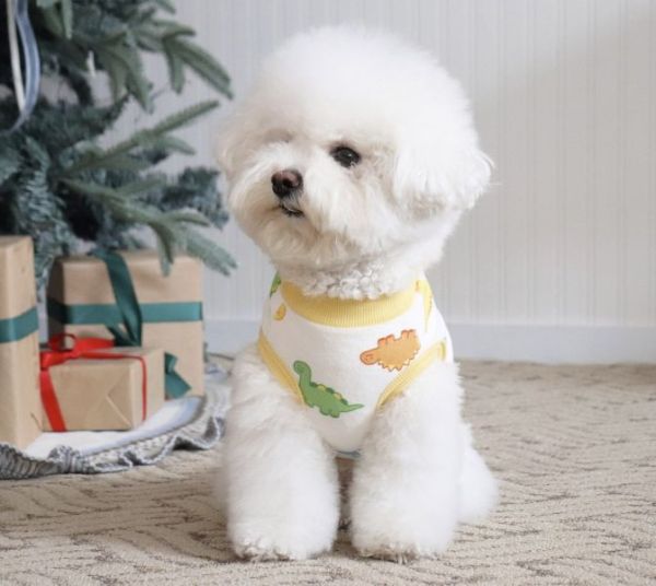 預購0112收單 | DRRR家恐龍內刷毛背心(S-2XL) 寵物服飾,寵物選品,韓國寵物服飾,狗衣服,貓衣服,韓國寵物品牌,寵物有機棉,韓國寵物選品,韓國寵物秋冬選品,狗圍巾,寵物保暖,寵物保暖服飾,韓國寵物保暖服飾