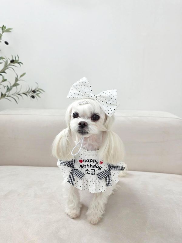 預購0305收單 | SOSO Delight 春季點點生日款刺繡手工領巾 寵物服飾,寵物選品,韓國寵物服飾,狗衣服,貓衣服,韓國寵物品牌