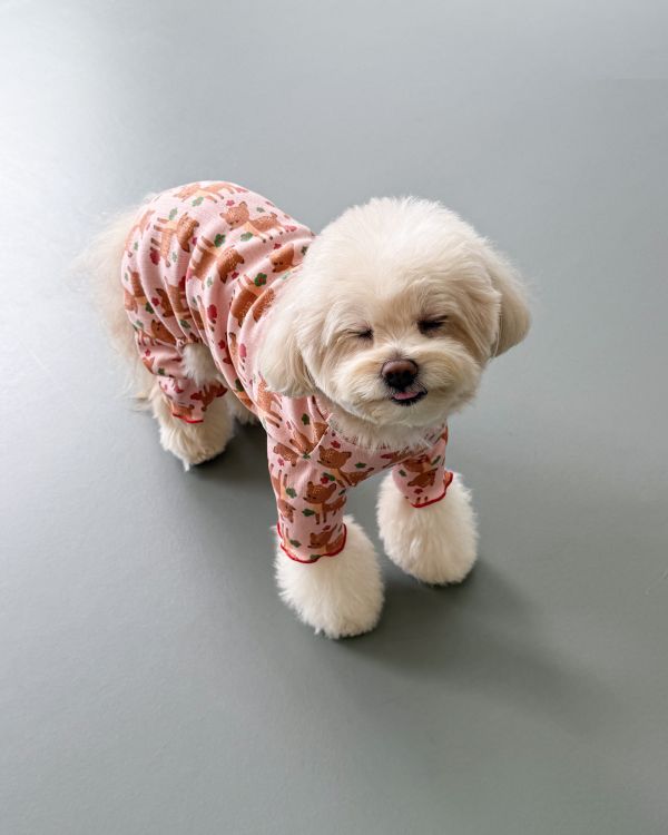 預購1028收單 | côte à côte 秋季梅花鹿木耳邊四腳衣(SM-2XL) 寵物服飾,寵物選品,韓國寵物服飾,狗衣服,貓衣服,韓國寵物品牌,韓國寵物選品,韓國寵物春夏選品,寵物背心,COTEACOTE,韓國寵物品牌服飾,韓國寵物秋冬選品,寵物四腳衣,寵物連身褲,韓國冬天寵物,寵物保暖