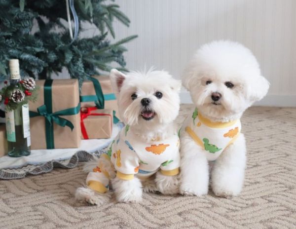 預購0112收單 | DRRR家恐龍內刷毛四腳衣(S-2XL) 寵物服飾,寵物選品,韓國寵物服飾,狗衣服,貓衣服,韓國寵物品牌,寵物有機棉,韓國寵物選品,韓國寵物秋冬選品,狗圍巾,寵物保暖,寵物保暖服飾,韓國寵物保暖服飾