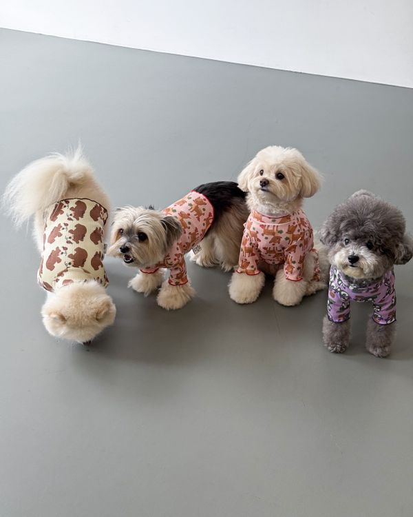 預購1028收單 | côte à côte 秋季小熊木耳邊上衣(SM-3XL) 寵物服飾,寵物選品,韓國寵物服飾,狗衣服,貓衣服,韓國寵物品牌,韓國寵物選品,韓國寵物春夏選品,寵物背心,COTEACOTE,韓國寵物品牌服飾,韓國寵物秋冬選品,寵物四腳衣,寵物連身褲,韓國冬天寵物,寵物保暖