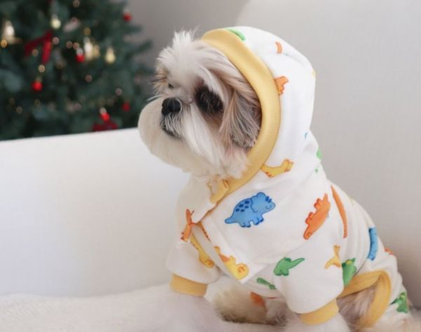 預購0112收單 | DRRR家恐龍內刷毛四腳衣(S-2XL) 寵物服飾,寵物選品,韓國寵物服飾,狗衣服,貓衣服,韓國寵物品牌,寵物有機棉,韓國寵物選品,韓國寵物秋冬選品,狗圍巾,寵物保暖,寵物保暖服飾,韓國寵物保暖服飾