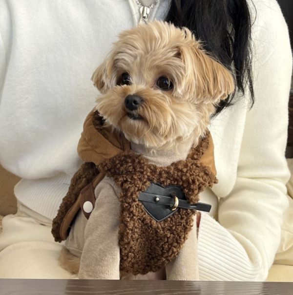 HUG ME | 泰迪毛披風-咖色(S-XL) 寵物服飾,寵物選品,韓國寵物服飾,狗衣服,貓衣服,韓國寵物品牌,寵物有機棉,韓國寵物選品,韓國寵物秋冬選品,寵物可愛上衣,寵物胸背衣,SSFW,BITEME,寵物保暖,寵物四腳衣