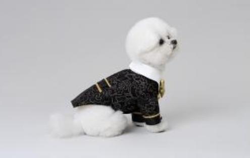 預購0510收單 | FanCpet Rose婚禮必備禮服(婚紗與燕尾服，S-2XL) 寵物服飾,寵物選品,韓國寵物服飾,狗衣服,貓衣服,韓國寵物品牌,韓國寵物選品,韓國寵物春夏選品,寵物背心,COTEACOTE,韓國寵物品牌服飾,韓國寵物秋冬選品,寵物四腳衣,寵物連身褲,韓國冬天寵物,寵物保暖