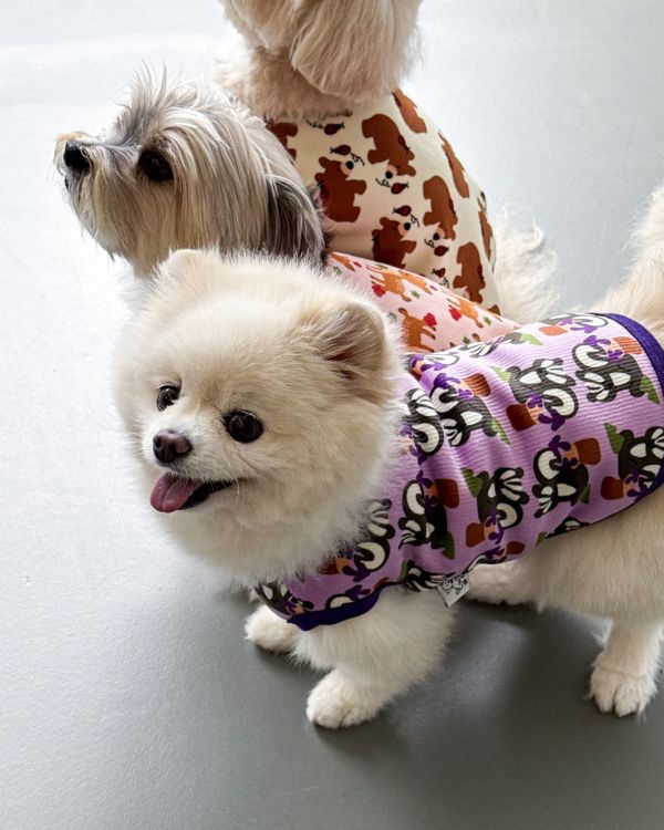 預購1028收單 | côte à côte 秋季紫色松鼠無袖背心(SM-3XL) 寵物服飾,寵物選品,韓國寵物服飾,狗衣服,貓衣服,韓國寵物品牌,韓國寵物選品,韓國寵物春夏選品,寵物背心,COTEACOTE,韓國寵物品牌服飾,韓國寵物秋冬選品,寵物四腳衣,寵物連身褲,韓國冬天寵物,寵物保暖