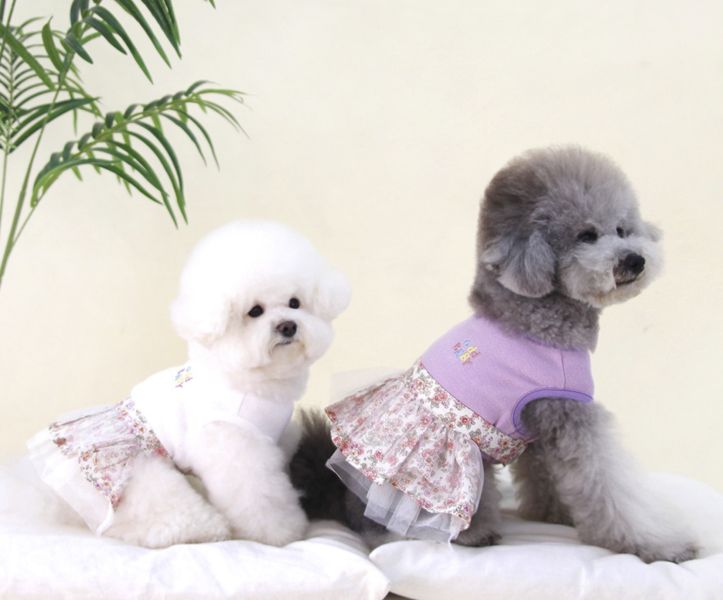 ODD PET | 小碎花紗裙(S-M) 寵物服飾,寵物選品,韓國寵物服飾,狗衣服,貓衣服,韓國寵物品牌,寵物有機棉,韓國寵物選品,胸背,胸背衣