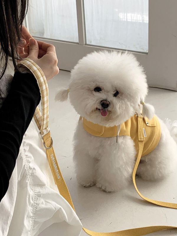 預購0410收單 | DR家格紋帽胸背衣(五色 S-2XL) 寵物服飾,寵物選品,韓國寵物服飾,狗衣服,貓衣服,韓國寵物品牌,寵物有機棉,韓國寵物選品,韓國寵物春夏選品,寵物風衣,寵物防水衣,DRRR,寵物針織背心