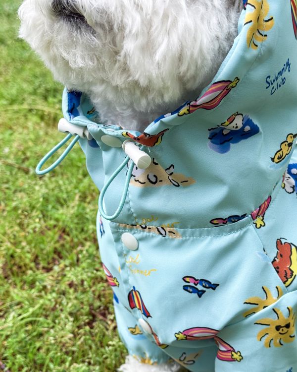 côte à côte |可愛童話款雨衣(兩色/L-3XL) 寵物服飾,寵物選品,韓國寵物服飾,狗衣服,貓衣服,韓國寵物品牌,寵物有機棉,韓國寵物選品,韓國寵物春夏選品,寵物可愛上衣,寵物涼感,côte à côte, 寵物雨衣