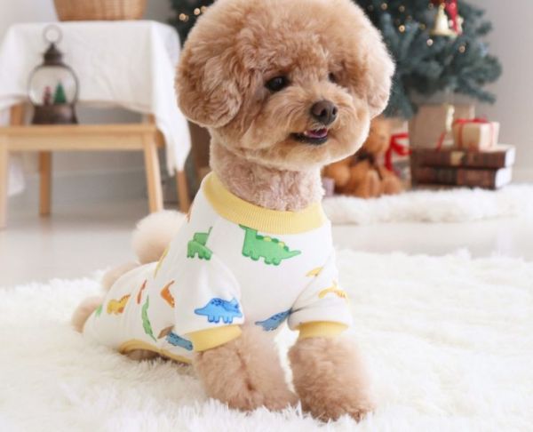 預購0112收單 | DRRR家恐龍內刷毛四腳衣(S-2XL) 寵物服飾,寵物選品,韓國寵物服飾,狗衣服,貓衣服,韓國寵物品牌,寵物有機棉,韓國寵物選品,韓國寵物秋冬選品,狗圍巾,寵物保暖,寵物保暖服飾,韓國寵物保暖服飾