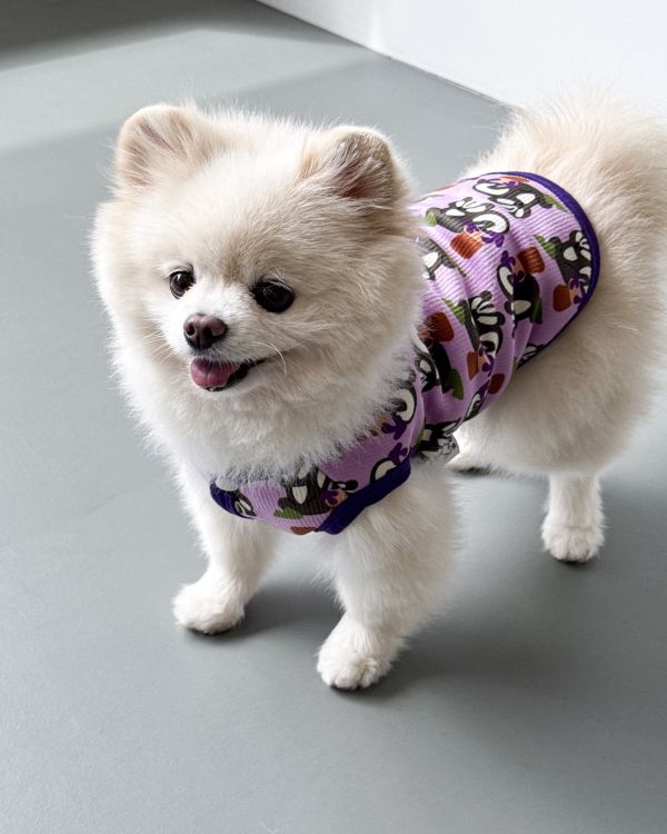 預購1028收單 | côte à côte 秋季紫色松鼠無袖背心(SM-3XL) 寵物服飾,寵物選品,韓國寵物服飾,狗衣服,貓衣服,韓國寵物品牌,韓國寵物選品,韓國寵物春夏選品,寵物背心,COTEACOTE,韓國寵物品牌服飾,韓國寵物秋冬選品,寵物四腳衣,寵物連身褲,韓國冬天寵物,寵物保暖