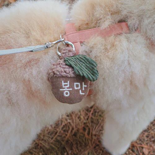 預購 |  Epeels 橡實胸背裝飾(下單請備註刺繡內容) 寵物服飾,寵物選品,韓國寵物服飾,狗衣服,貓衣服,韓國寵物品牌,韓國寵物選品,韓國寵物春夏選品,寵物名牌,寵物客製商品,EPEELS,胸背裝飾