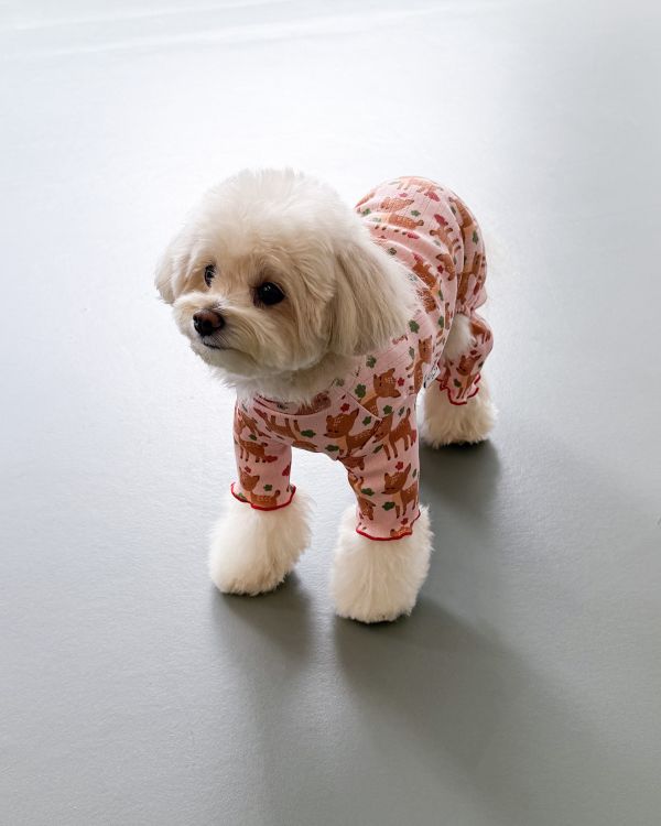 預購1028收單 | côte à côte 秋季梅花鹿木耳邊四腳衣(SM-2XL) 寵物服飾,寵物選品,韓國寵物服飾,狗衣服,貓衣服,韓國寵物品牌,韓國寵物選品,韓國寵物春夏選品,寵物背心,COTEACOTE,韓國寵物品牌服飾,韓國寵物秋冬選品,寵物四腳衣,寵物連身褲,韓國冬天寵物,寵物保暖