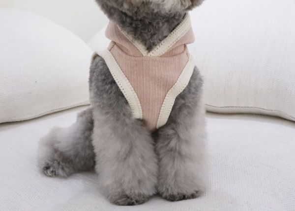 Lila Dog 精靈感粉色斗篷(XL) 寵物服飾,寵物選品,韓國寵物服飾,狗衣服,貓衣服,韓國寵物品牌,寵物有機棉,韓國寵物選品, 韓國寵物秋冬選品