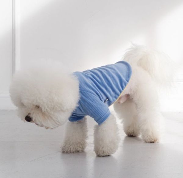 4DOGS坑條撞色上衣-藍色(S-2XL) 寵物服飾,寵物選品,韓國寵物服飾,狗衣服,貓衣服,韓國寵物品牌,寵物有機棉,韓國寵物選品,韓國寵物秋冬選品,狗圍巾,寵物保暖,寵物保暖服飾,韓國寵物保暖服飾