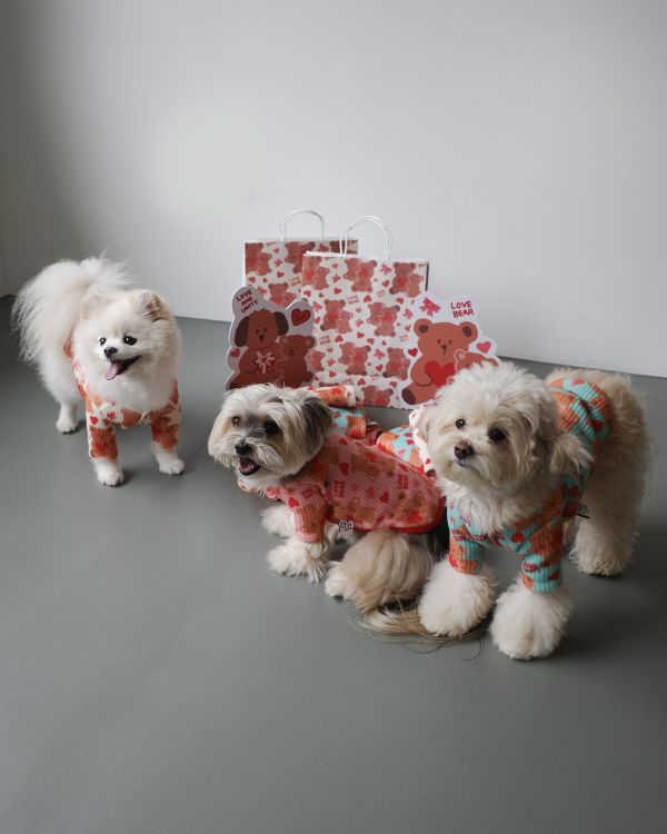 預購1028收單 | côte à côte 秋季愛心熊熊有袖上衣(3色，SM-3XL) 寵物服飾,寵物選品,韓國寵物服飾,狗衣服,貓衣服,韓國寵物品牌,韓國寵物選品,韓國寵物春夏選品,寵物背心,COTEACOTE,韓國寵物品牌服飾,韓國寵物秋冬選品,寵物四腳衣,寵物連身褲,韓國冬天寵物,寵物保暖