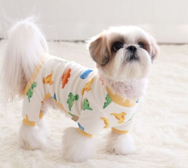 預購0112收單 | DRRR家恐龍內刷毛四腳衣(S-2XL) 寵物服飾,寵物選品,韓國寵物服飾,狗衣服,貓衣服,韓國寵物品牌,寵物有機棉,韓國寵物選品,韓國寵物秋冬選品,狗圍巾,寵物保暖,寵物保暖服飾,韓國寵物保暖服飾