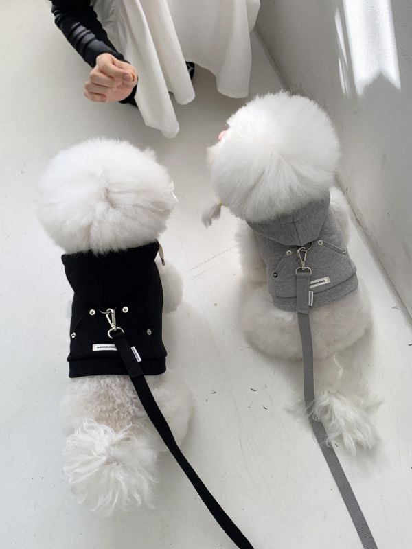 預購0410收單 | DR家格紋帽胸背衣(五色 S-2XL) 寵物服飾,寵物選品,韓國寵物服飾,狗衣服,貓衣服,韓國寵物品牌,寵物有機棉,韓國寵物選品,韓國寵物春夏選品,寵物風衣,寵物防水衣,DRRR,寵物針織背心