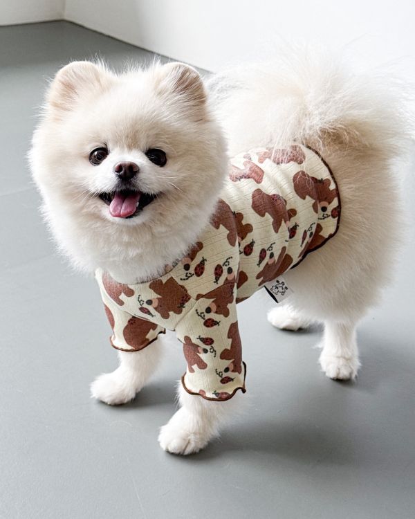 預購1028收單 | côte à côte 秋季小熊木耳邊上衣(SM-3XL) 寵物服飾,寵物選品,韓國寵物服飾,狗衣服,貓衣服,韓國寵物品牌,韓國寵物選品,韓國寵物春夏選品,寵物背心,COTEACOTE,韓國寵物品牌服飾,韓國寵物秋冬選品,寵物四腳衣,寵物連身褲,韓國冬天寵物,寵物保暖