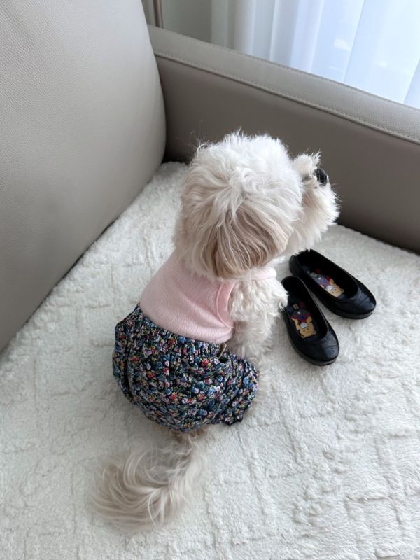 預購｜復古碎花老奶奶風連身褲 寵物服飾,寵物選品,韓國寵物服飾,狗衣服,貓衣服,韓國寵物品牌,寵物配件