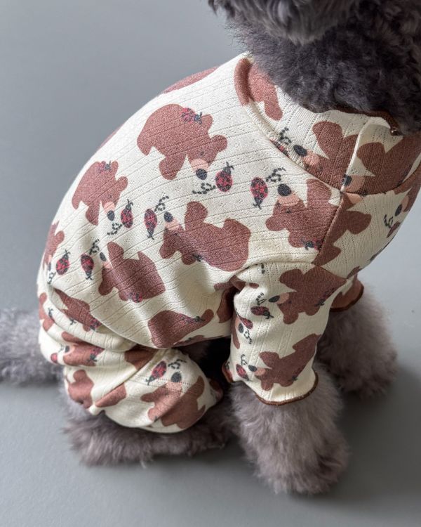 預購1028收單 | côte à côte 秋季小熊木耳邊四腳衣(SM-2XL) 寵物服飾,寵物選品,韓國寵物服飾,狗衣服,貓衣服,韓國寵物品牌,韓國寵物選品,韓國寵物春夏選品,寵物背心,COTEACOTE,韓國寵物品牌服飾,韓國寵物秋冬選品,寵物四腳衣,寵物連身褲,韓國冬天寵物,寵物保暖