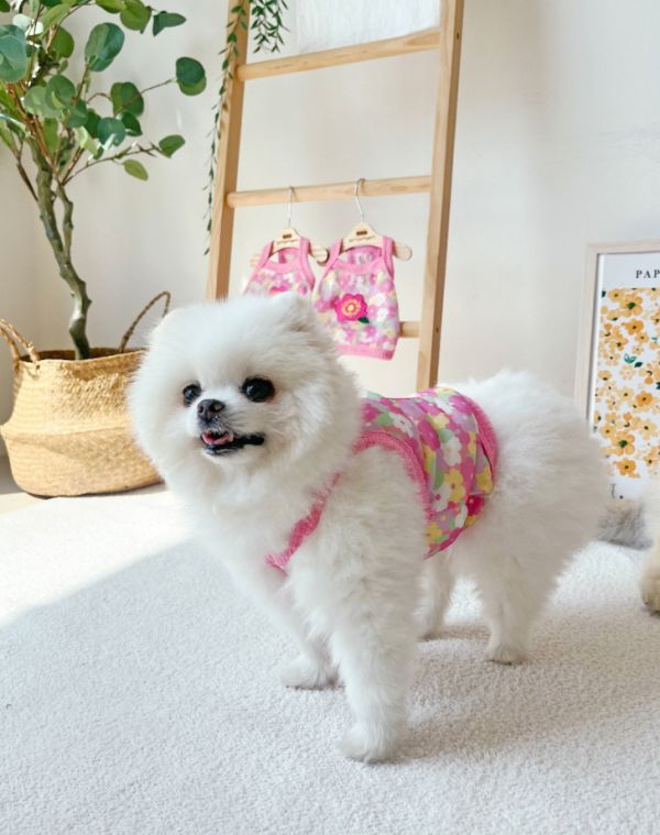 POMPOMPOM  | 花花夏日風透氣網眼背心(S-3XL) 寵物服飾,寵物選品,韓國寵物服飾,狗衣服,貓衣服,韓國寵物品牌,寵物有機棉,韓國寵物選品,韓國寵物春夏選品,寵物透氣衣服