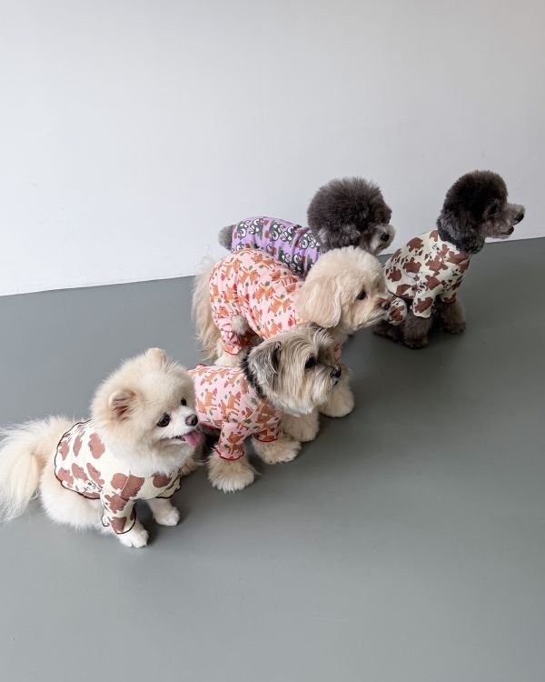 預購1028收單 | côte à côte 秋季梅花鹿木耳邊四腳衣(SM-2XL) 寵物服飾,寵物選品,韓國寵物服飾,狗衣服,貓衣服,韓國寵物品牌,韓國寵物選品,韓國寵物春夏選品,寵物背心,COTEACOTE,韓國寵物品牌服飾,韓國寵物秋冬選品,寵物四腳衣,寵物連身褲,韓國冬天寵物,寵物保暖