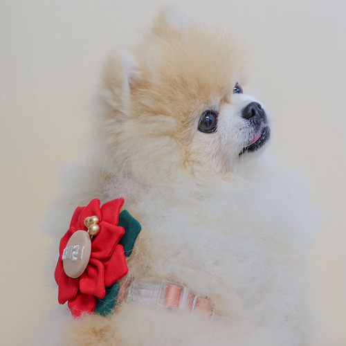 預購1123收單 |  Epeels-紅花綠葉胸背裝飾(下單請備註刺繡內容) 寵物服飾,寵物選品,韓國寵物服飾,狗衣服,貓衣服,韓國寵物品牌,韓國寵物選品,韓國寵物春夏選品,寵物名牌,寵物客製商品,EPEELS,紅花綠葉胸背裝飾