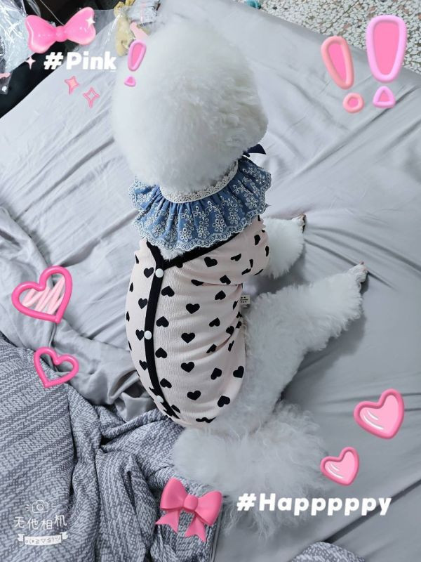 滿版愛心開襟衫 寵物服飾,寵物選品,韓國寵物服飾,狗衣服,貓衣服,韓國寵物品牌,寵物配件