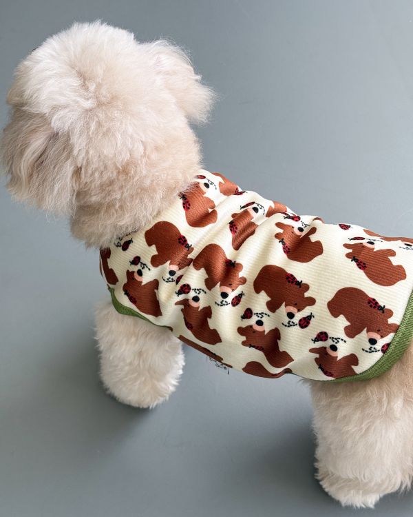 預購1028收單 | côte à côte 秋季小熊無袖背心(SM-3XL) 寵物服飾,寵物選品,韓國寵物服飾,狗衣服,貓衣服,韓國寵物品牌,韓國寵物選品,韓國寵物春夏選品,寵物背心,COTEACOTE,韓國寵物品牌服飾,韓國寵物秋冬選品,寵物四腳衣,寵物連身褲,韓國冬天寵物,寵物保暖