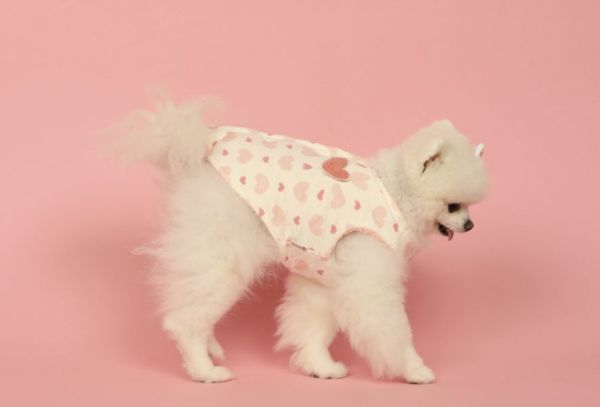 Pets&Me雙面穿棉襖愛心款(XL) 寵物服飾,寵物選品,韓國寵物服飾,狗衣服,貓衣服,韓國寵物品牌,寵物秋冬選品,韓國寵物選品,胸背,胸背衣,保暖上衣