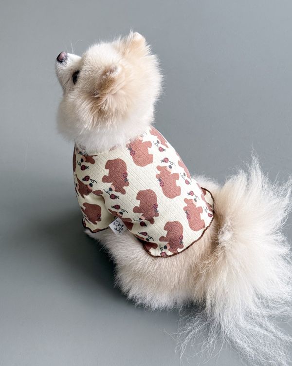 預購1028收單 | côte à côte 秋季小熊木耳邊上衣(SM-3XL) 寵物服飾,寵物選品,韓國寵物服飾,狗衣服,貓衣服,韓國寵物品牌,韓國寵物選品,韓國寵物春夏選品,寵物背心,COTEACOTE,韓國寵物品牌服飾,韓國寵物秋冬選品,寵物四腳衣,寵物連身褲,韓國冬天寵物,寵物保暖