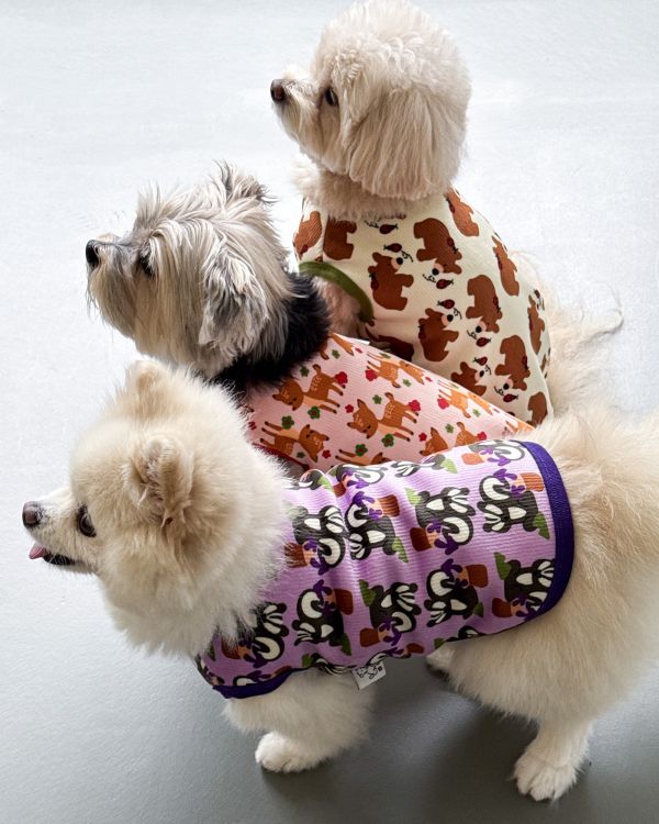 預購1028收單 | côte à côte 秋季紫色松鼠無袖背心(SM-3XL) 寵物服飾,寵物選品,韓國寵物服飾,狗衣服,貓衣服,韓國寵物品牌,韓國寵物選品,韓國寵物春夏選品,寵物背心,COTEACOTE,韓國寵物品牌服飾,韓國寵物秋冬選品,寵物四腳衣,寵物連身褲,韓國冬天寵物,寵物保暖