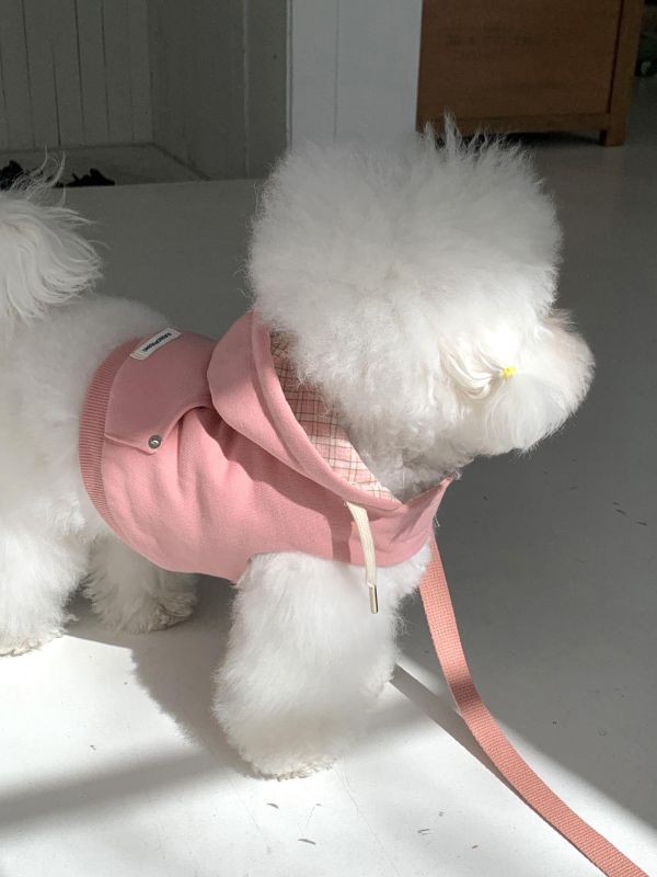 預購0410收單 | DR家格紋帽胸背衣(五色 S-2XL) 寵物服飾,寵物選品,韓國寵物服飾,狗衣服,貓衣服,韓國寵物品牌,寵物有機棉,韓國寵物選品,韓國寵物春夏選品,寵物風衣,寵物防水衣,DRRR,寵物針織背心