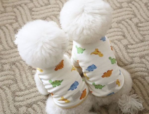 預購0112收單 | DRRR家恐龍內刷毛背心(S-2XL) 寵物服飾,寵物選品,韓國寵物服飾,狗衣服,貓衣服,韓國寵物品牌,寵物有機棉,韓國寵物選品,韓國寵物秋冬選品,狗圍巾,寵物保暖,寵物保暖服飾,韓國寵物保暖服飾