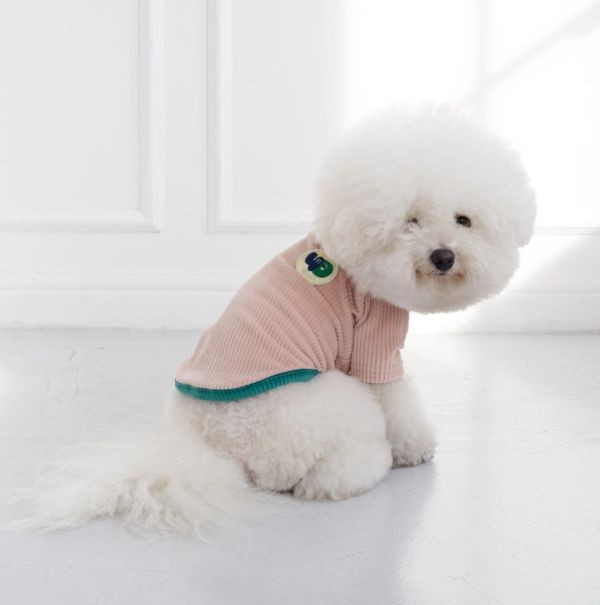 4DOGS坑條撞色上衣-粉色(S-2XL) 寵物服飾,寵物選品,韓國寵物服飾,狗衣服,貓衣服,韓國寵物品牌,寵物有機棉,韓國寵物選品,韓國寵物秋冬選品,狗圍巾,寵物保暖,寵物保暖服飾,韓國寵物保暖服飾