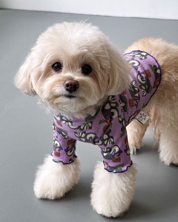 預購1028收單 | côte à côte 秋季紫色松鼠木耳邊上衣(SM-3XL) 寵物服飾,寵物選品,韓國寵物服飾,狗衣服,貓衣服,韓國寵物品牌,韓國寵物選品,韓國寵物春夏選品,寵物背心,COTEACOTE,韓國寵物品牌服飾,韓國寵物秋冬選品,寵物四腳衣,寵物連身褲,韓國冬天寵物,寵物保暖