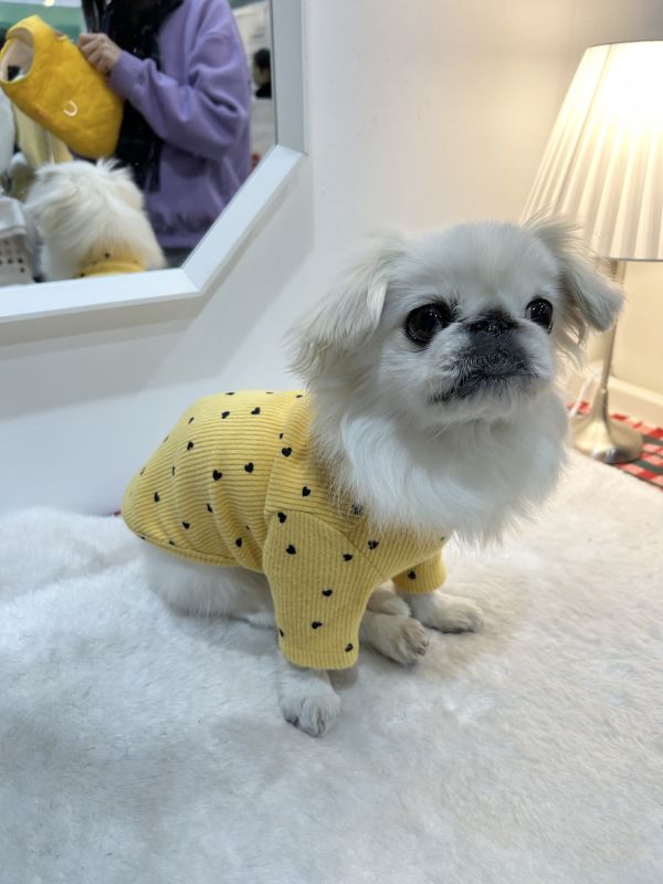 Mascot | 滿滿小愛心坑條上衣(M-2XL) 寵物服飾,寵物選品,韓國寵物服飾,狗衣服,貓衣服,韓國寵物品牌,寵物有機棉,韓國寵物選品,韓國寵物秋冬選品,狗圍巾,寵物保暖,寵物保暖服飾,韓國寵物保暖服飾