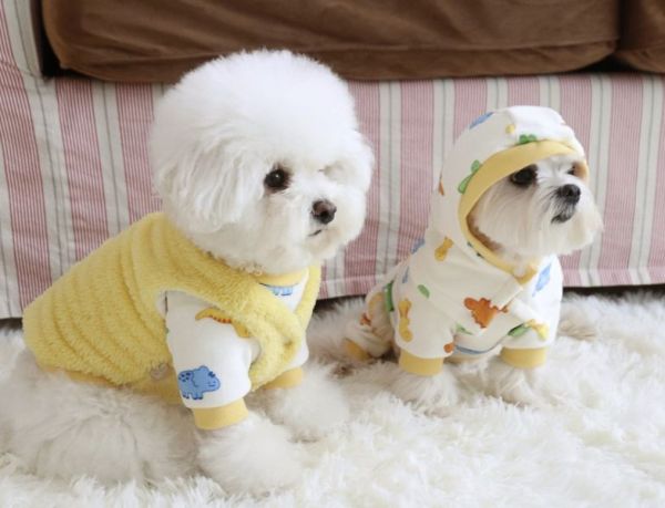 預購0112收單 | DRRR家恐龍小兜帽(S-L) 寵物服飾,寵物選品,韓國寵物服飾,狗衣服,貓衣服,韓國寵物品牌,寵物有機棉,韓國寵物選品,韓國寵物秋冬選品,狗圍巾,寵物保暖,寵物保暖服飾,韓國寵物保暖服飾