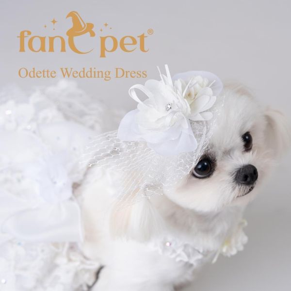 預購0510收單 | FanCpet Rose婚禮必備禮服(婚紗與燕尾服，S-2XL) 寵物服飾,寵物選品,韓國寵物服飾,狗衣服,貓衣服,韓國寵物品牌,韓國寵物選品,韓國寵物春夏選品,寵物背心,COTEACOTE,韓國寵物品牌服飾,韓國寵物秋冬選品,寵物四腳衣,寵物連身褲,韓國冬天寵物,寵物保暖