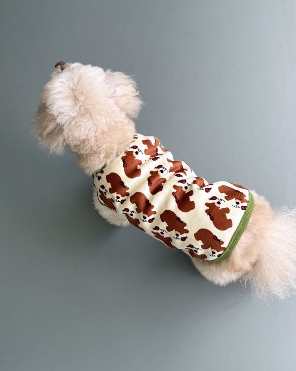 預購1028收單 | côte à côte 秋季小熊無袖背心(SM-3XL) 寵物服飾,寵物選品,韓國寵物服飾,狗衣服,貓衣服,韓國寵物品牌,韓國寵物選品,韓國寵物春夏選品,寵物背心,COTEACOTE,韓國寵物品牌服飾,韓國寵物秋冬選品,寵物四腳衣,寵物連身褲,韓國冬天寵物,寵物保暖